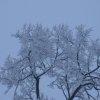 DSC_4066_1024x685