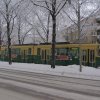 IMG_0762_1024x768