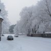 IMG_0769_1024x768